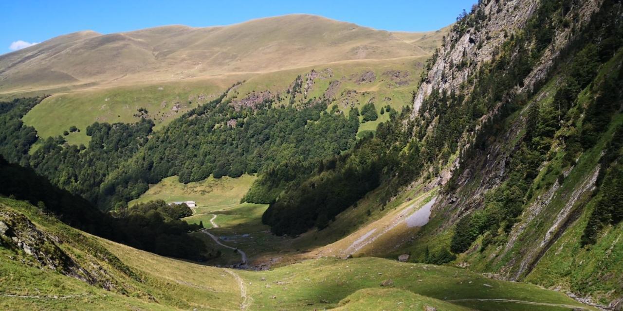 Le 41 Avenue Foch Hotel Bagneres-de-Luchon Ngoại thất bức ảnh